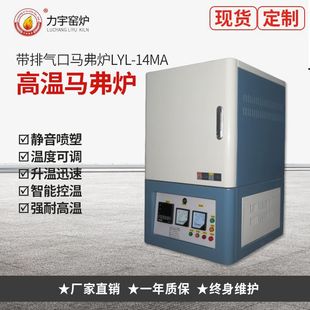 GtaRtߜ؎ŚLYL-14MAtߜع늟