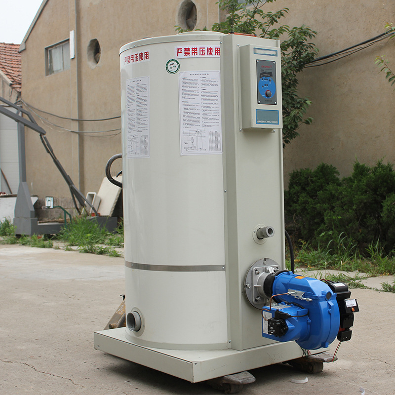 燃气热水锅炉家庭宾馆学校供暖洗浴1000平方采暖炉供暖专用