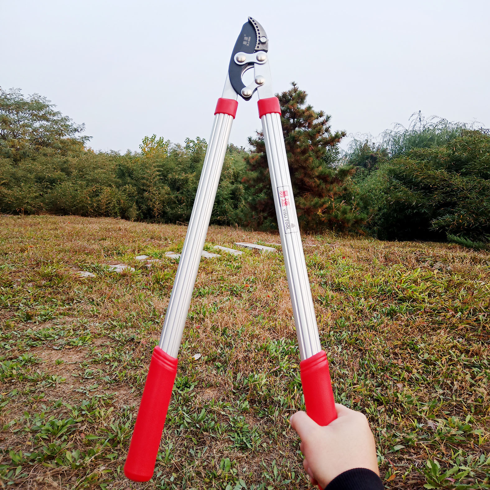 易速ZLJ-3506中力剪粗枝剪力士剪修枝大剪刀果树省力剪刀剪树剪刀