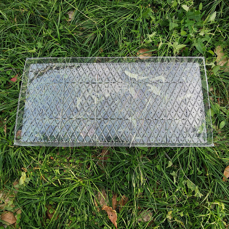 塑料一级原料免揭透明秧盘9寸平盘机插育秧盘插秧机专用菱形平盘