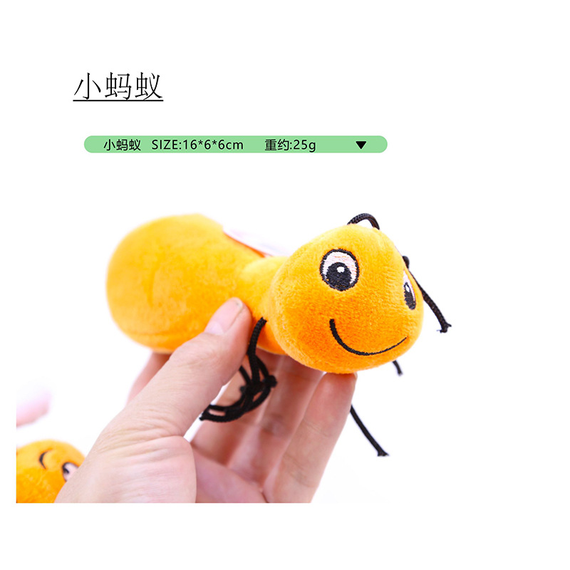 작은 개미