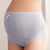 Cotton breathable pants for pregnant with belly support, high waist, plus size