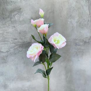 6�^�L֦��۹����˽۹� ���滨�������l��ԭ��đȫɫ