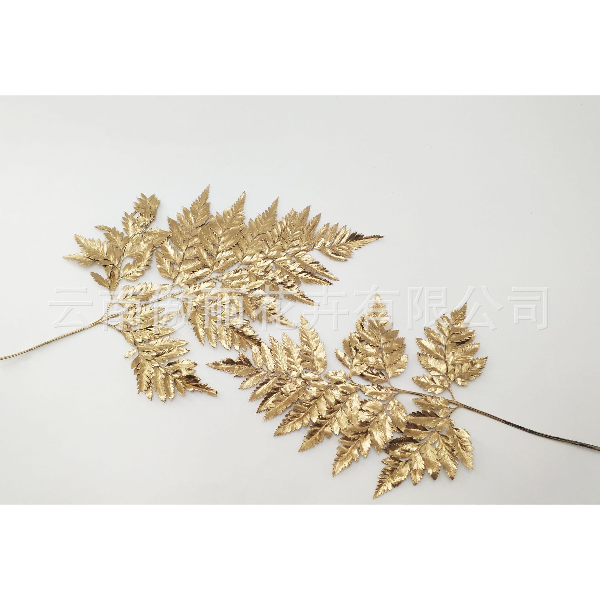 Yongsheng flor/Alpine ovejas diente hoja de helecho/hoja de helecho dorado material con hojas exportación calidad fábrica al por mayor