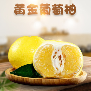 �����S��������  ���l5/9�����r�S�����֬gϪ���֮���ƽ������