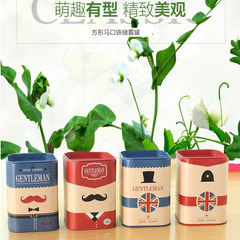 Korean style square metal tinplate piggy bank British Lun style piggy bank cartoon children's piggy bank storage tank