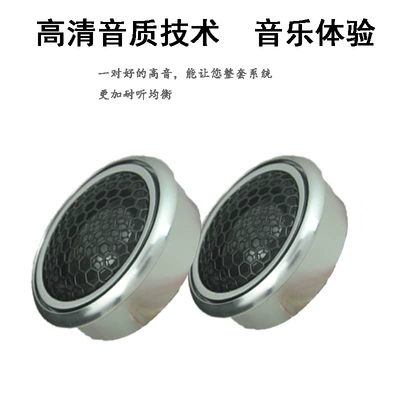 Car horn/tweeter car audio modification treble head