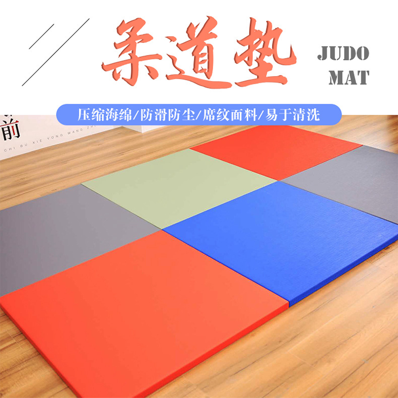 Sanhong Pe Foam + Compressed Sponge Judo Mat Competition Training Spliced ​​Floor Mat Thickeneded Gymnastics Mat Sports Mat