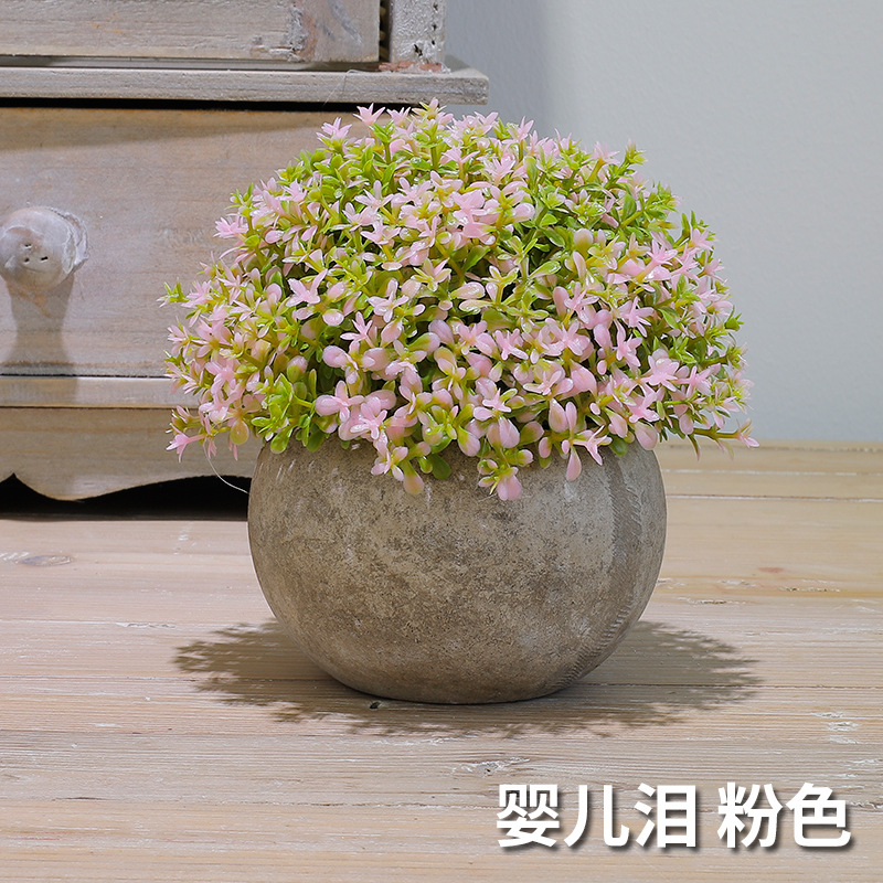 婴儿泪（粉色）