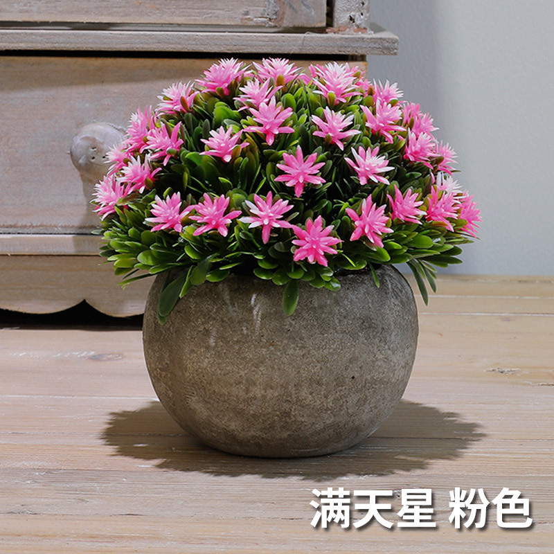 满天星（粉色）