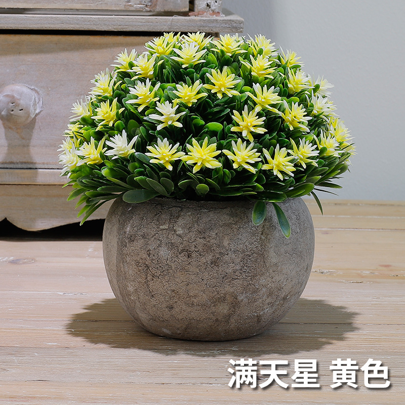 满天星（黄色）