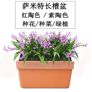 �h���_���ط¼t���L�����豱�W���s��̖���϶�������L�ۘ�֬����