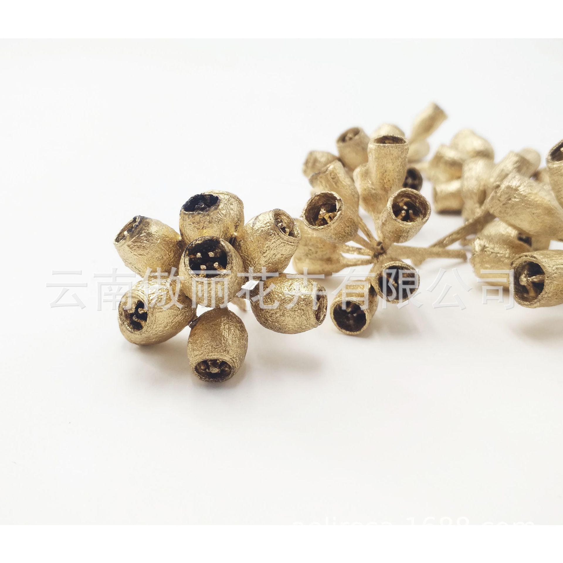 Yongsheng flor/pequeña fruta de eucalipto/Flor seca fresca Oficina decoración del hogar flor exportación calidad fábrica al por mayor