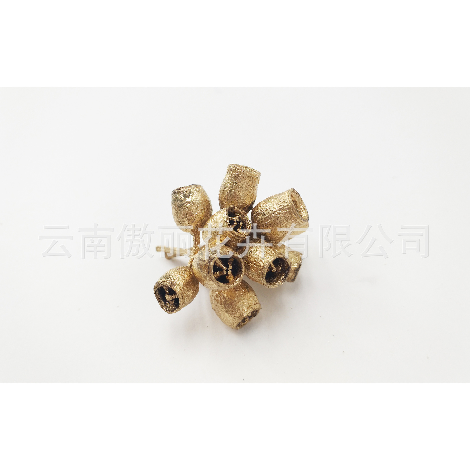 Yongsheng flor/pequeña fruta de eucalipto/Flor seca fresca Oficina decoración del hogar flor exportación calidad fábrica al por mayor