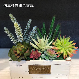 ����Gֲ �J�C��ɏѩɏʯɏ�� �Ҿ�ܛ�b�[������ֲ����滨������