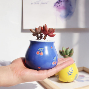 Special offer full postage hand-painted printing ceramic fleshy flowerpot plant flowerpot flower Ware green plant 008