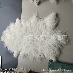 [羊皮长毛弯型二毛羊羔狐狸毛整皮本白色滩羊羔皮DIY毛领门襟]