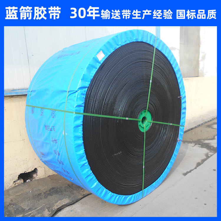 河北蓝箭厂家批发整体带芯阻燃输送带 800s耐撕裂PVG阻燃皮带