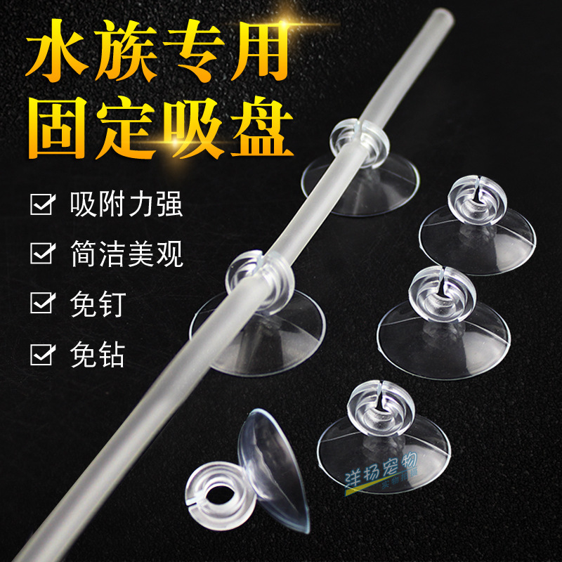 Fish tank oxygen tube fixed suction cup thermometer oxygen pump wire suction cup aquarium suction cup 4mm open suction cup clamp