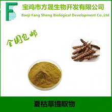 夏枯草提取物 10:1 夏枯头提取物 水溶性夏枯草粉 实力厂家现货