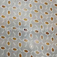 全棉打孔绣花布 棉布大机绣花 时装用布 镂空绣花棉布厂家直供