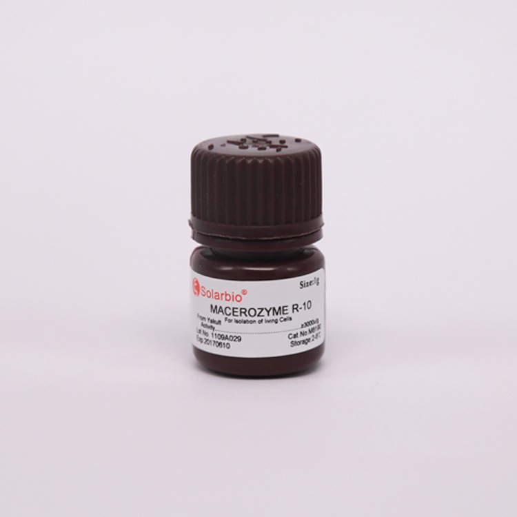 M8190-1g 离析酶R-10 索莱宝 专业生化试剂 质量保障