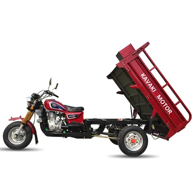 Style Cargo Gasoline Tricycle – Avtomobil və motosiklet məhsulları istehsal avadan