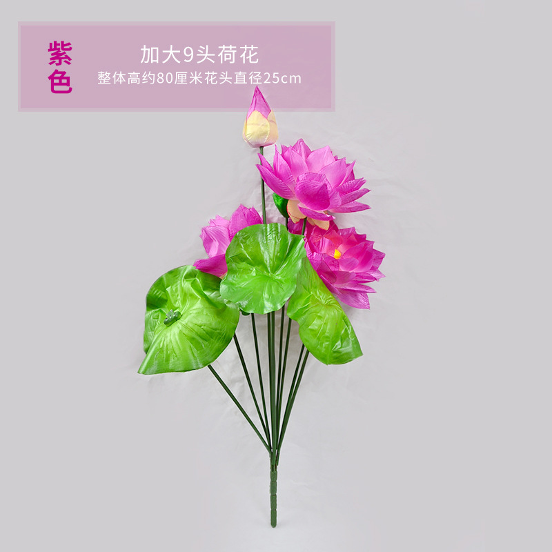 9개의 머리가 있는 연꽃 보라색 확대
