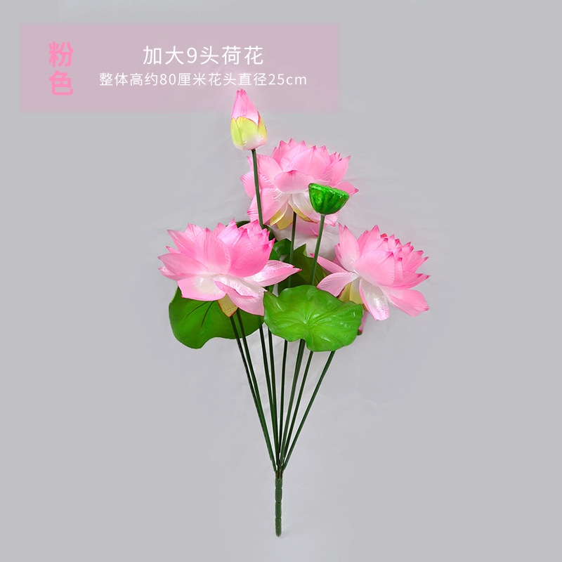 9등신 연꽃 핑크 확대