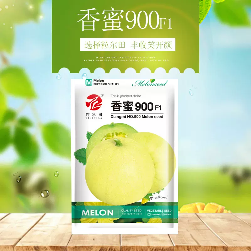 粒尔田香蜜900甜瓜种子 香甜可口蜜甜 薄皮香瓜种子大面积种植
