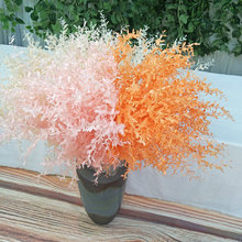 ��c�W�t���������z�Fڡ �����m�L֦ �������F���Fڡ�� ��Y�쾰