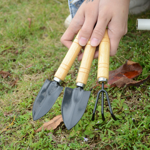 Stainless steel three-piece set for flower gardening and succulent planting three-piece set of tools for growing vegetables and flowers, small shovel set for loosening soil