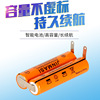 Suitable for Flying Shaver RQ360 361 YS523 526 527 524HX3110 2.4V Battery Group