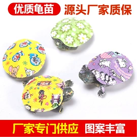 观赏龟、鳖;鱼缸;造景/装饰