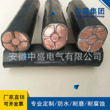 ��ʢ�͟��o�u��ȼ�ͻ���|�����| WDZBN-YJY-0.6/1KV 5*16