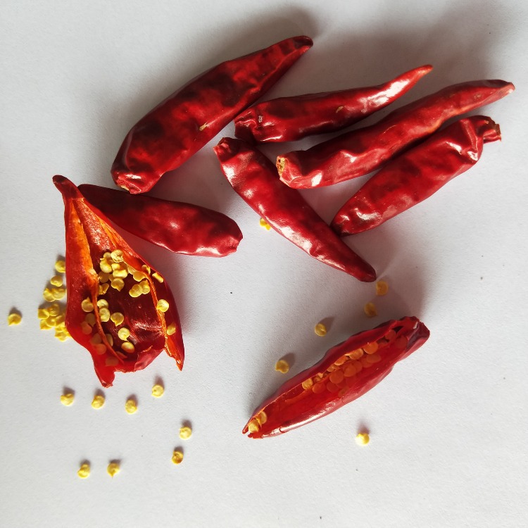 新一代中辣    天鹰小椒   8号椒   中餐火锅  500g