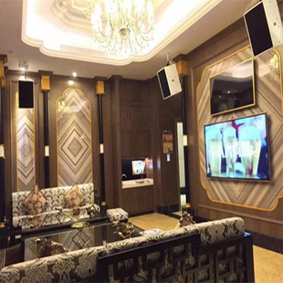HK-10/HK-12ȫ�l�������ڏS�ҸߙnKTV�ʘ������๦�܏d�������
