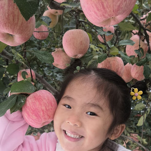 ȫ�t�t��ʿ �l�y�t��ʿ���l��̨�t��ʿ��NҎ��ɿ�؛