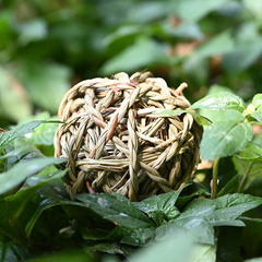 Best-selling pet chew toy edible grass rope ball, natural handmade for hamsters, parrots, cats, rabbits to relieve boredom