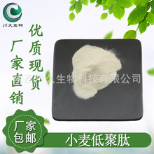 现货 小麦低聚肽粉 川久生物 小麦肽粉 供应 小麦蛋白肽 厂家直销