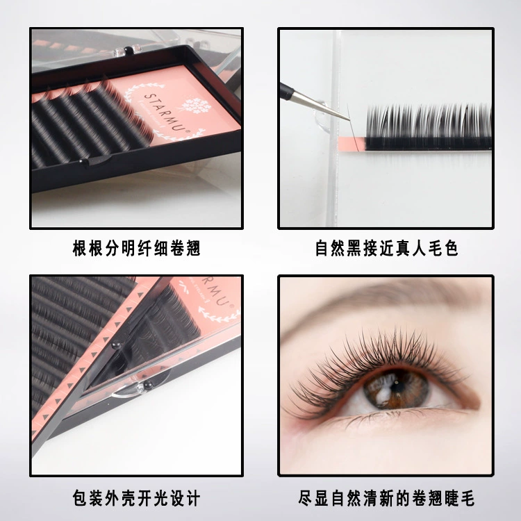 False Lash Extensions (STARMU) Single-Root Practice Trays, 8–12 mm, Natural curl
