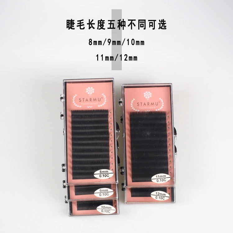 False Lash Extensions (STARMU) Single-Root Practice Trays, 8–12 mm, Natural curl
