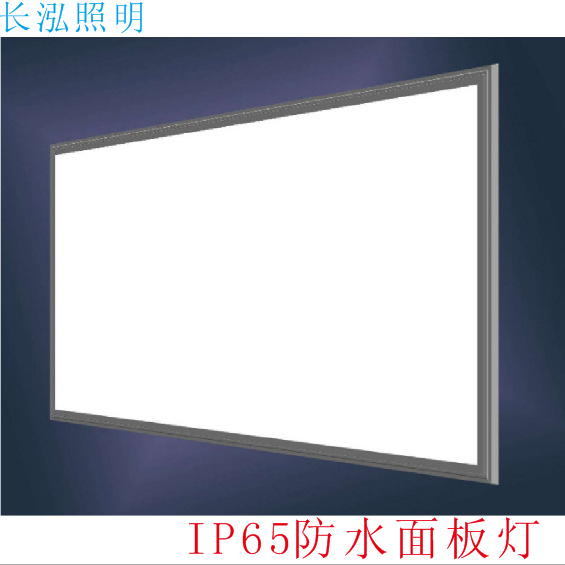 IP65 panel light 60120 waterproof flat light 30120 ledIP67 flat light LED waterproof panel light