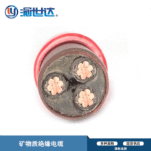 �V���|�^������ ������| YTTWY3о3+1/3+2ϵ�� �ؑc�S�ҬF؛����