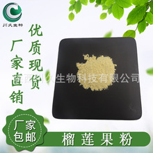 榴莲果粉 榴莲粉 川久生物 冻干粉/喷雾干燥 厂家现货 榴莲冻干粉