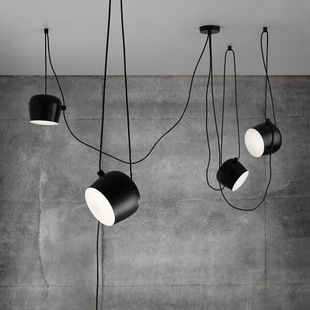 Modern Simple Aluminum Small Drum Chandelier Personalized Industrial Style Clothing Store Cafe Tiannv Scattered Flower Crane Cross-border Supply