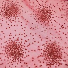 2021  ��W������   �W��������   ֲ�q�C��ӡ��