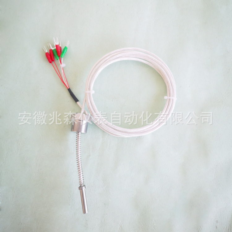 双支热电阻 WZP2-766 PT100温度传感器 非标定 做