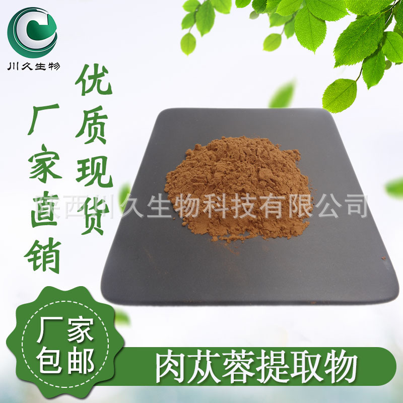肉苁蓉提取物 川久生物 多规格供应 肉苁蓉粉 肉苁蓉提取  现货
