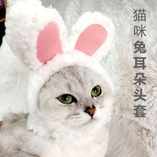 网红兔子猫咪头套小耳朵可爱老虎帽子狗狗泰迪比熊变身英短头饰